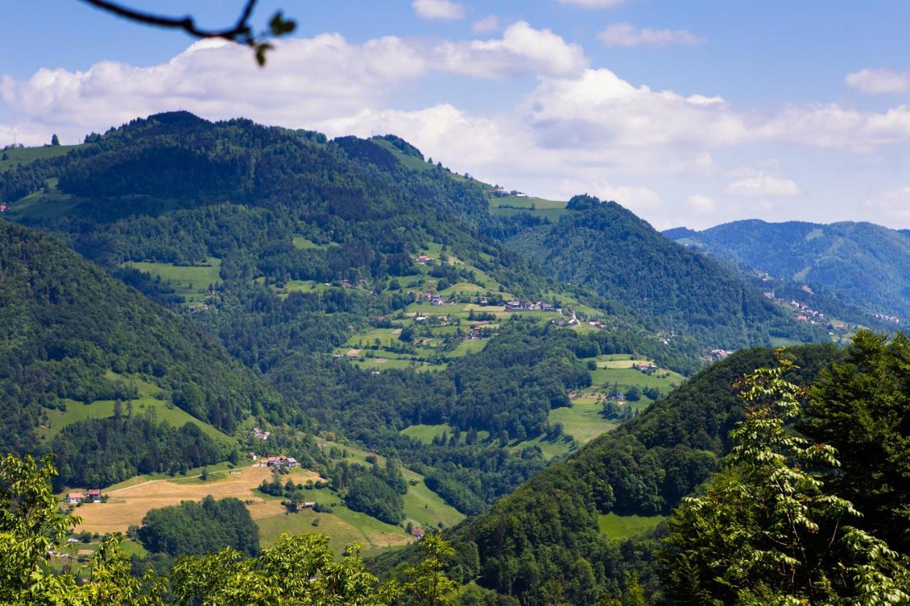 Vila Bomas House Cerkno Exteriér fotografie